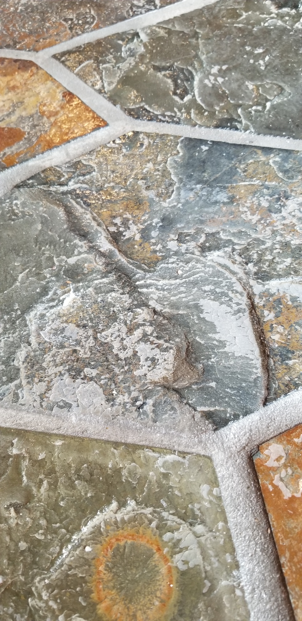 180501_110629_92.jpeg
