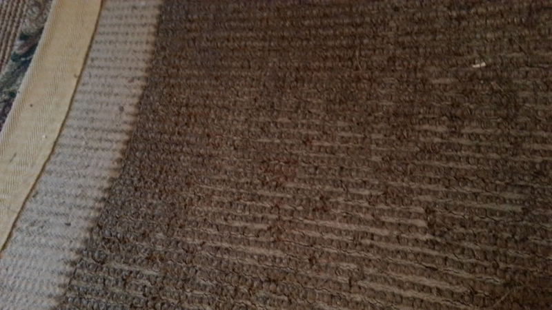 20121106_170743_zpscd9a3c25.jpg