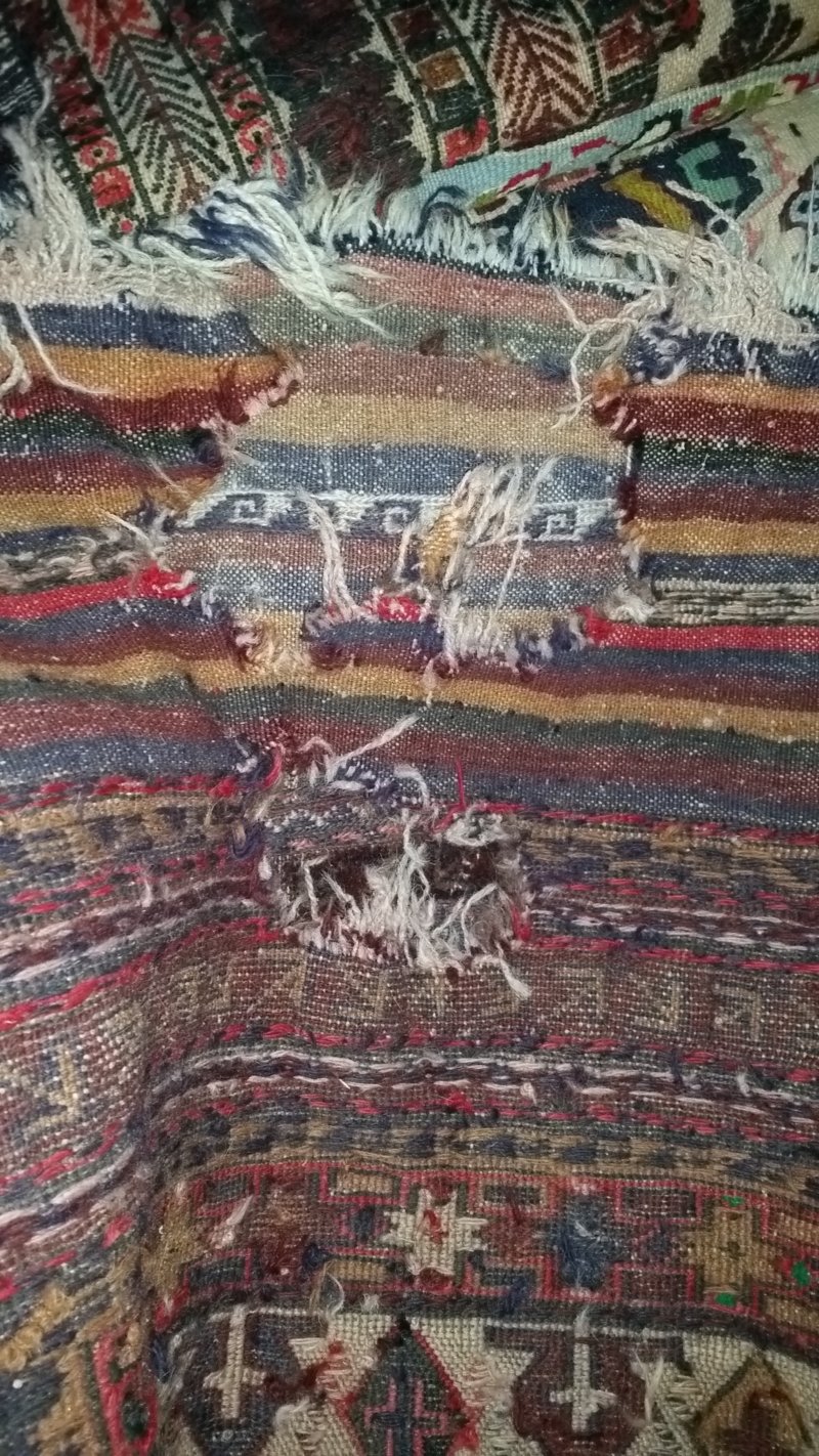 20160823_150718.jpg