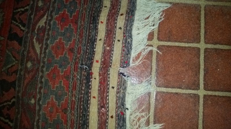 20160823_150843.jpg