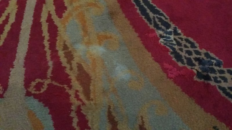 20161018_112112.jpg