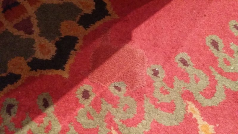 20161018_112955.jpg