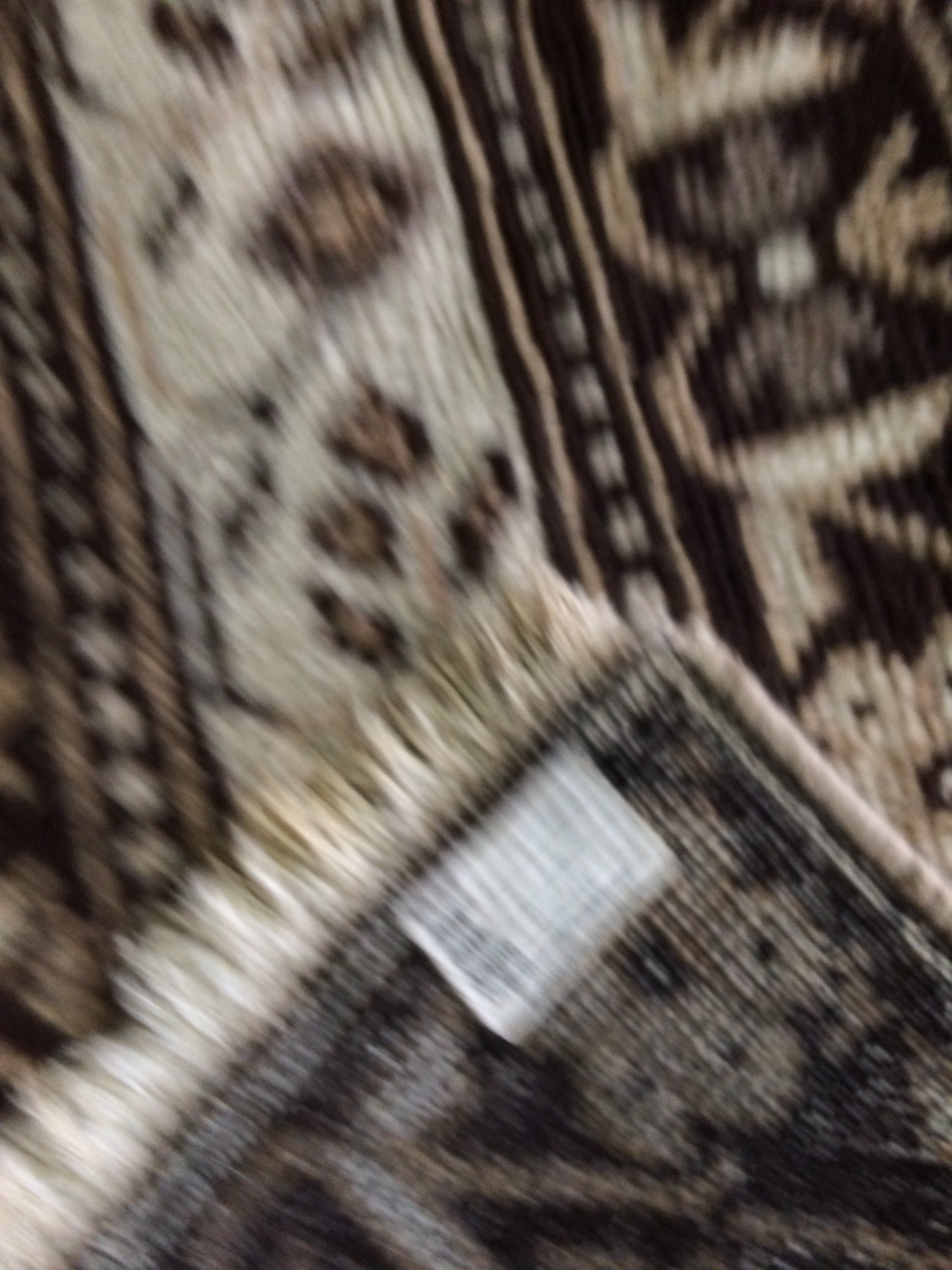 3813A7D4-6753-4193-AB23-80D2AC8A393D.jpeg