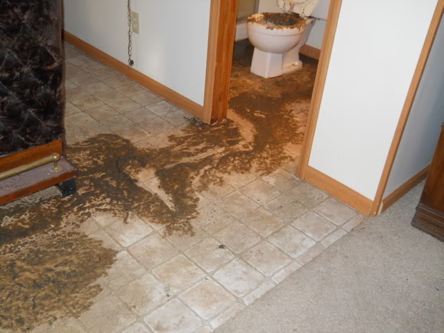 DSCN0674.jpg