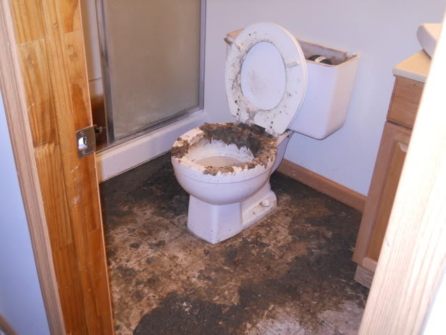 DSCN0675.jpg