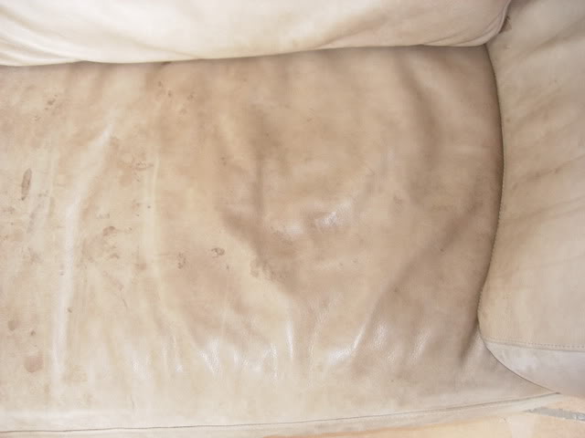 DSCN3206.jpg