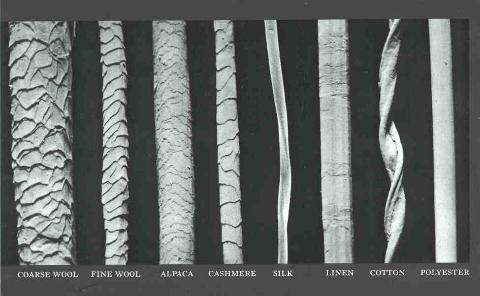 fiber_compare-480x296.jpg