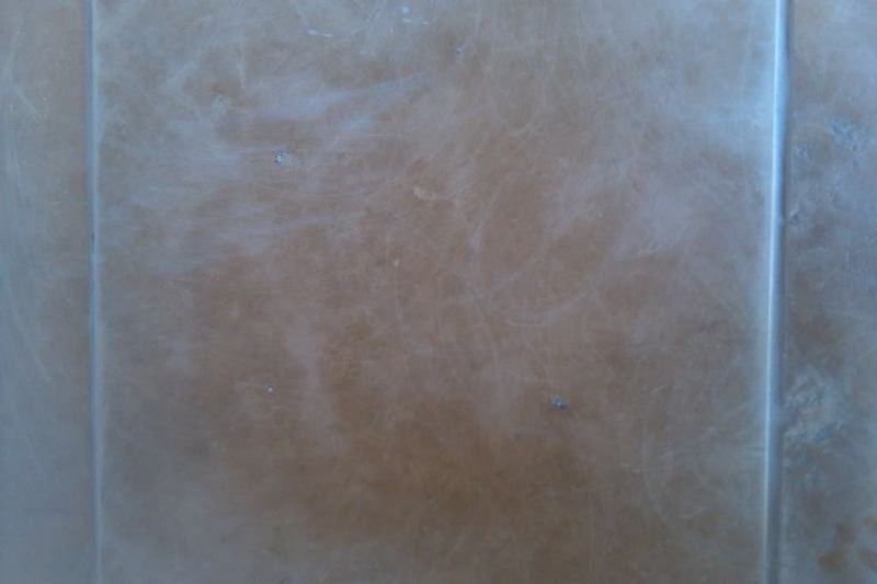 IMAG0206.jpg