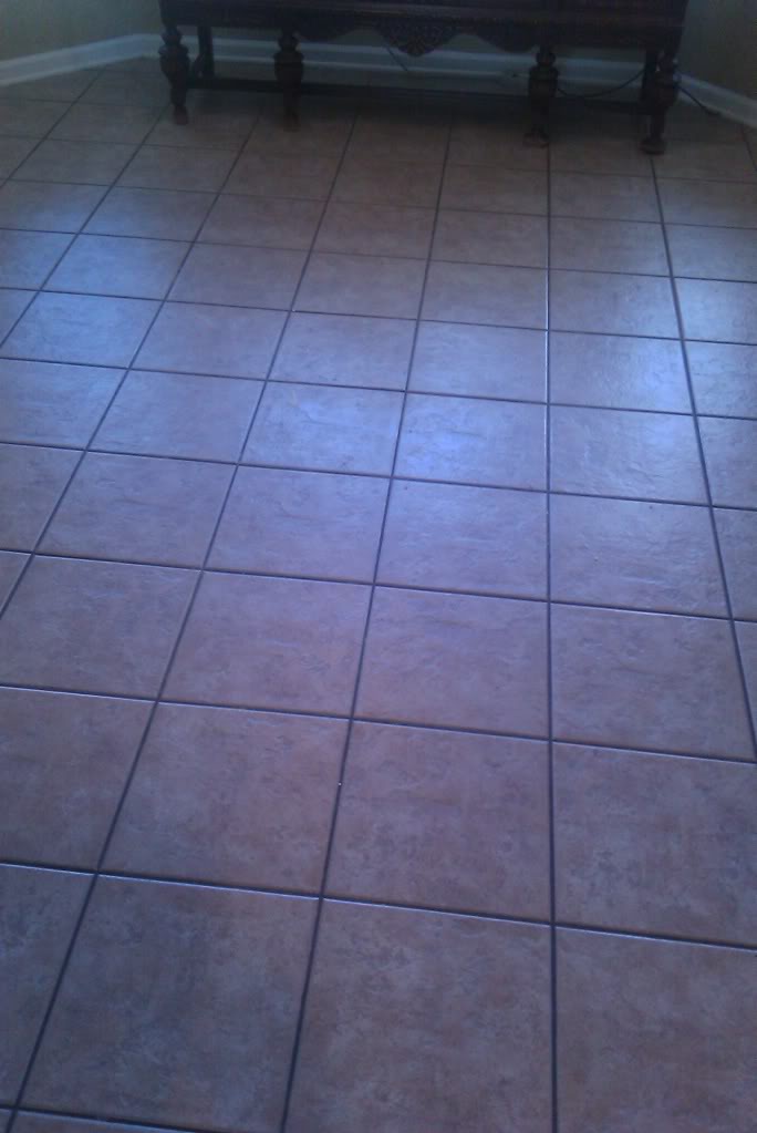 IMAG02321.jpg