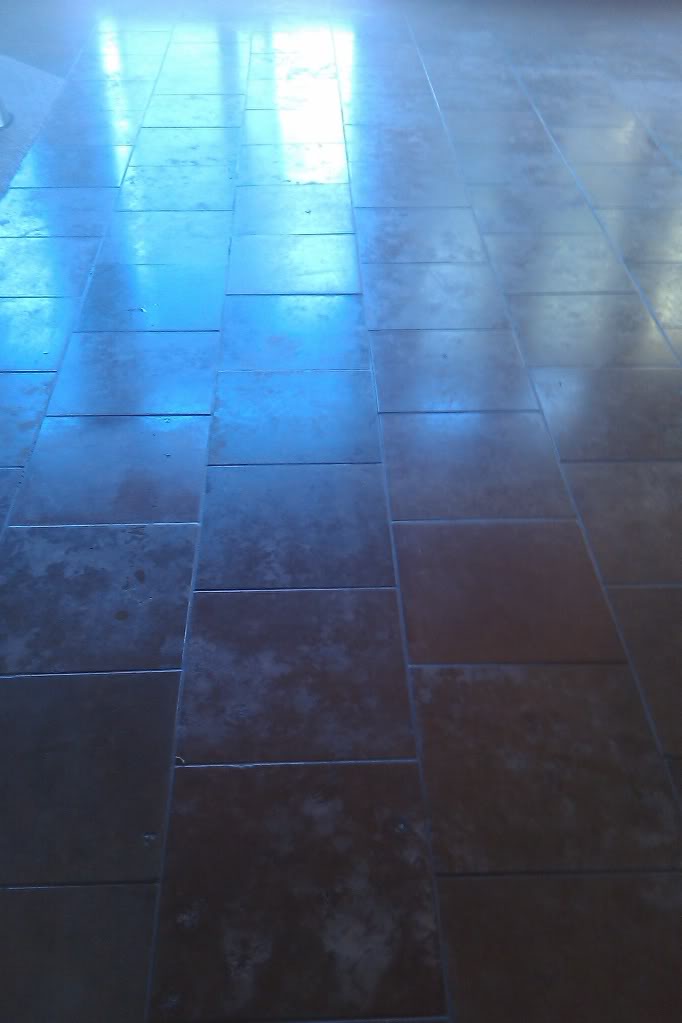 IMAG0502.jpg