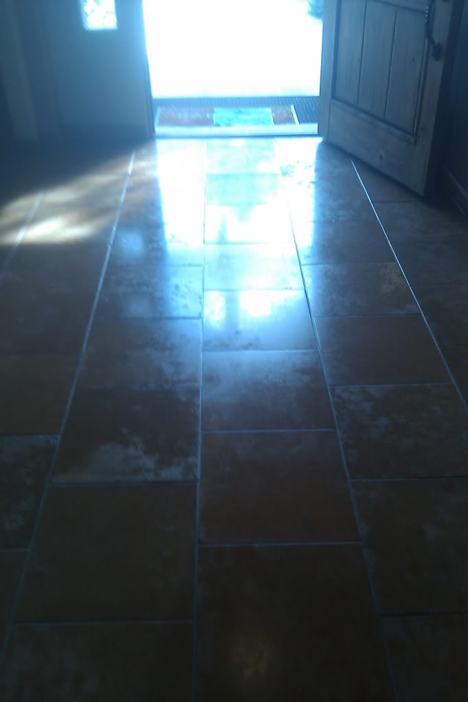 IMAG0511.jpg