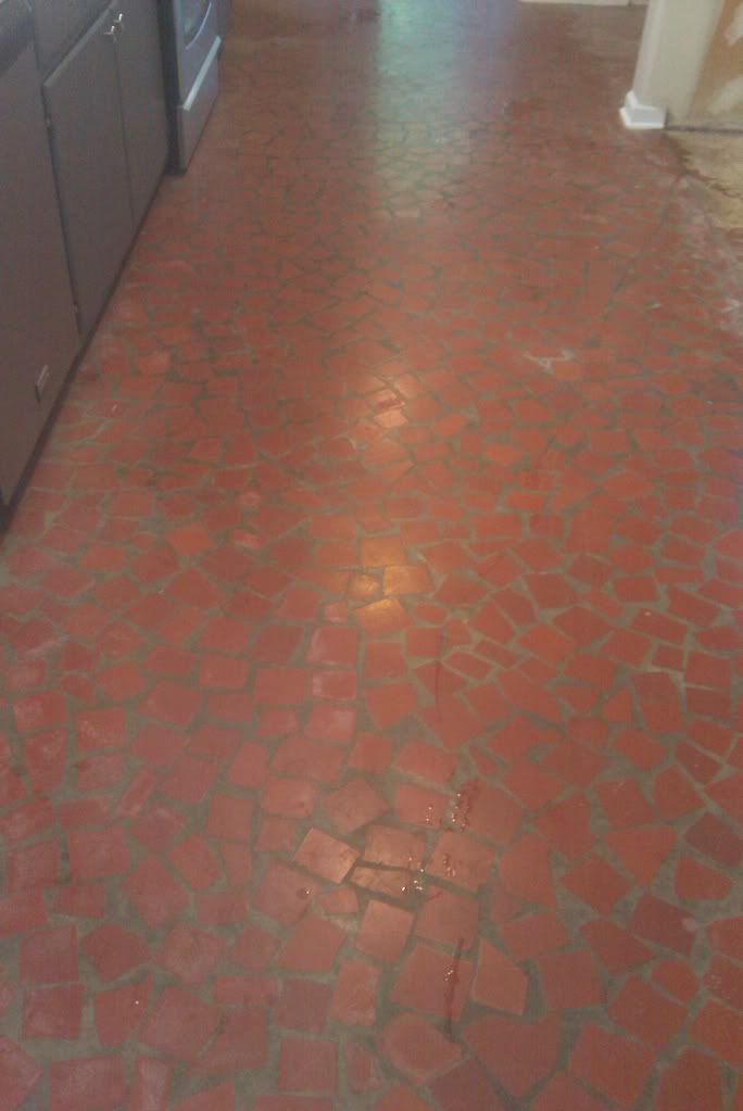 IMAG0528.jpg