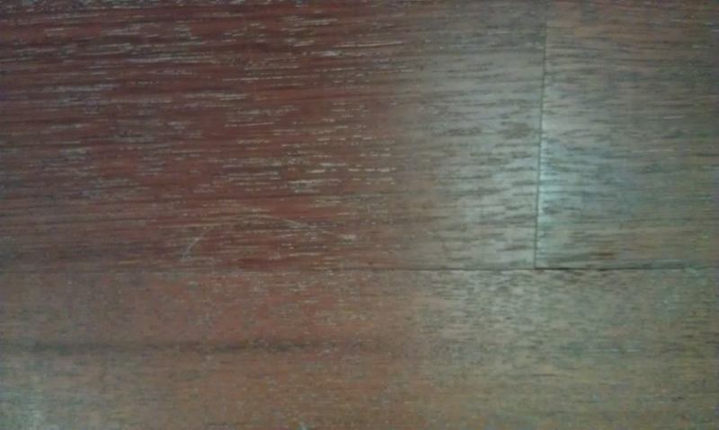 IMAG0672.jpg
