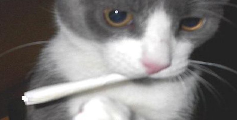 image.jpeg
