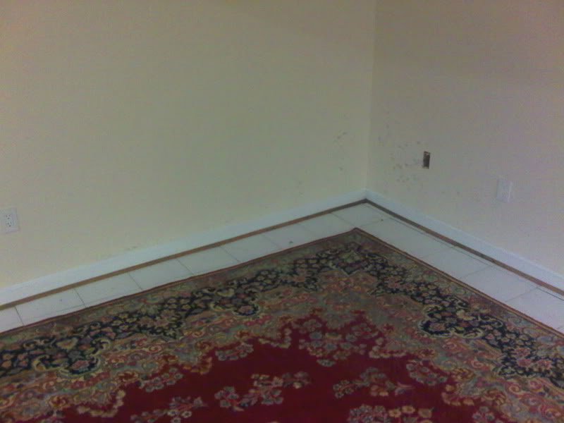 IMG00279-20090627-1945.jpg