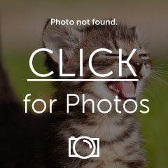 IMG_0213_zps09522536.jpg