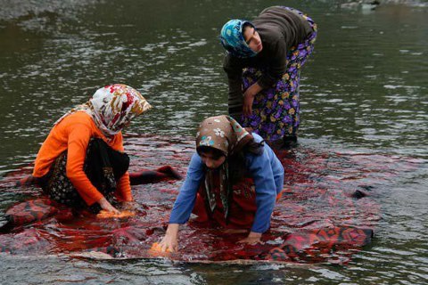 ladieswashingarug734516_441688289218940_1017508776_n_zps04ec6670.jpg