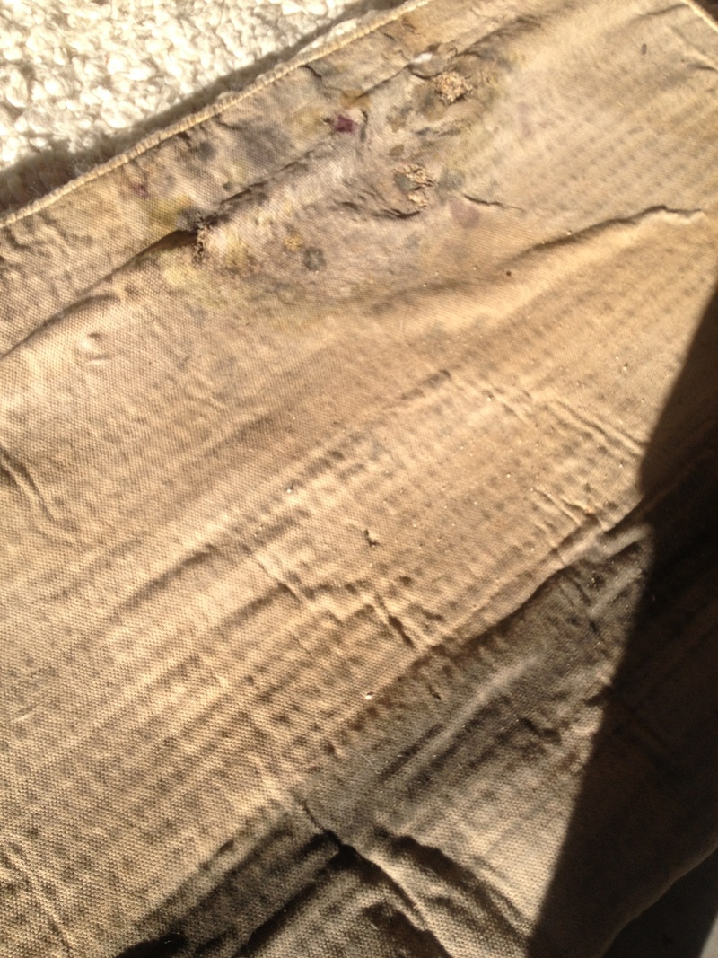 naturaldrycarpetcleaninglasvegas12.jpg