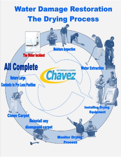 WaterDamageInfoGraphic_zpsbd768070.jpg