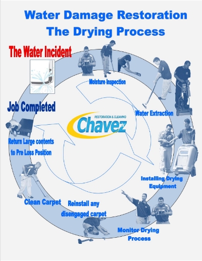 WaterDamageInfoGraphic_zpse55ca3f4.jpg