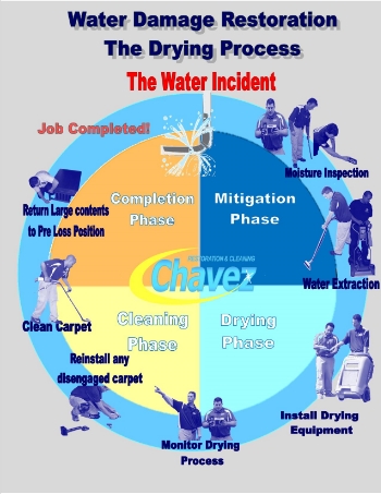 WaterDamageInfoGraphicPhases_zps4850fda0.jpg